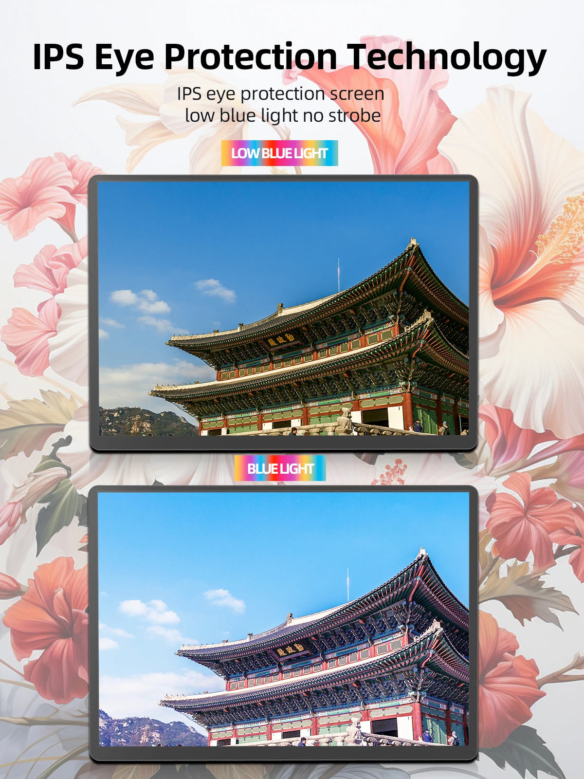 ZenView Pro 15.6 Portable Monitor