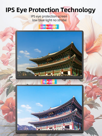 ZenView Pro 15.6 Portable Monitor